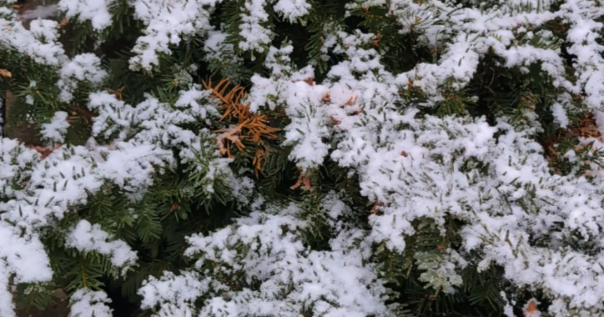 Forecasters: Fast-moving system could bring more snow to Lehigh Valley this weekend