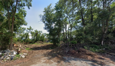 Developer to seek more time to turn Allentown forest into 12-building apartment complex