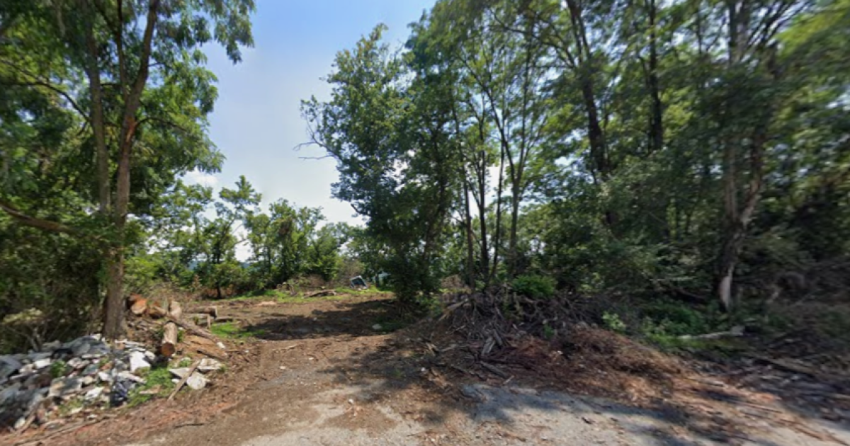 Developer to seek more time to turn Allentown forest into 12-building apartment complex