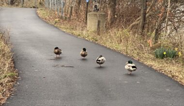 Pittsburgh to spend $6M in riverfront parks & trails maintenance