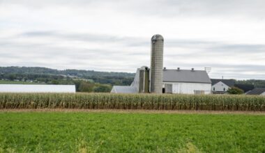 Pa. businesses cheer tariffs decision but still face issues