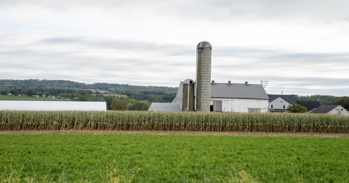 Pa. businesses cheer tariffs decision but still face issues