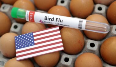 Bird Flu Devastates 7.4 Million Pennsylvania Chickens in a Month