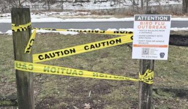 Northampton park is closed after dead Canada geese found – Lehigh Valley Press