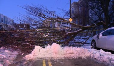 Philadelphia blizzard aftermath: Crews work to clear fallen trees, debris
