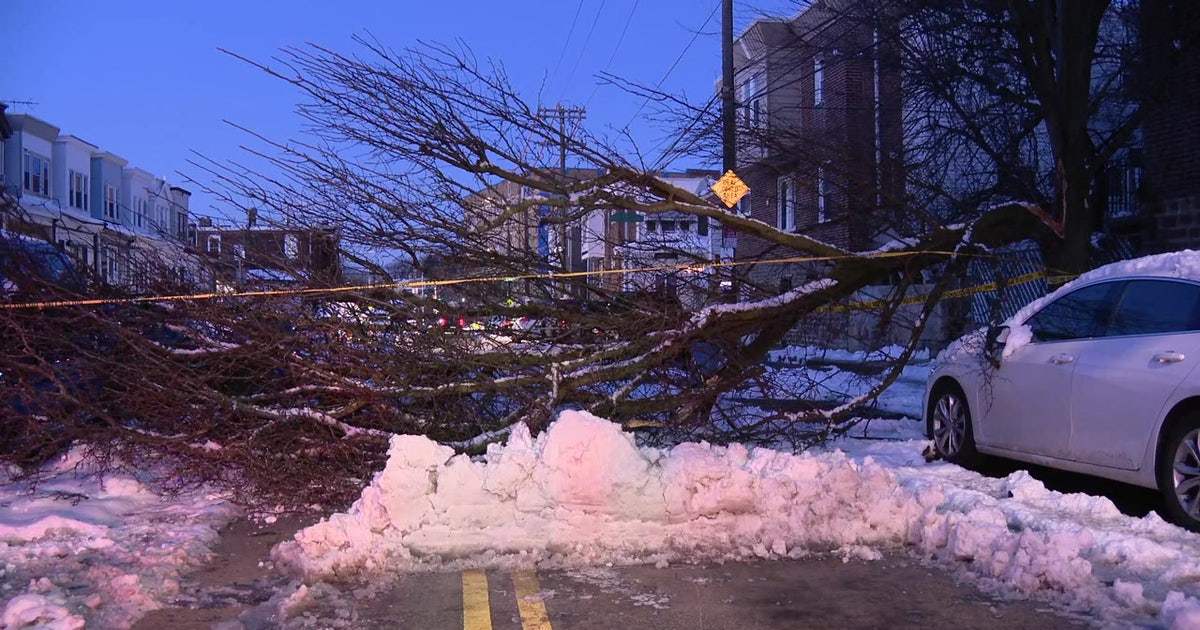 Philadelphia blizzard aftermath: Crews work to clear fallen trees, debris