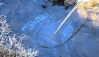 Pittsburgh residents could see an increase in their water bill after rate settlement for Pittsburgh Water approved