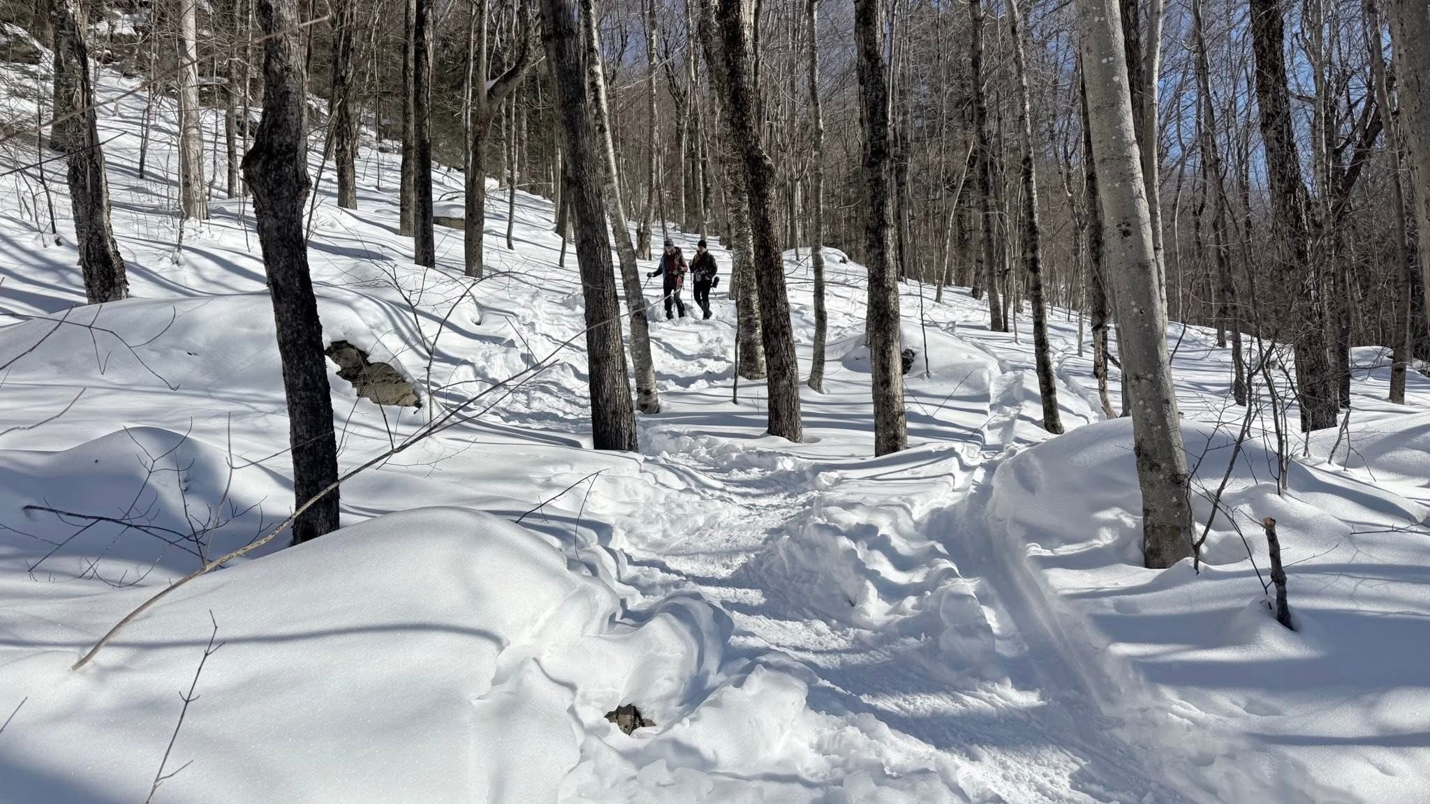 a group hikes in the snow