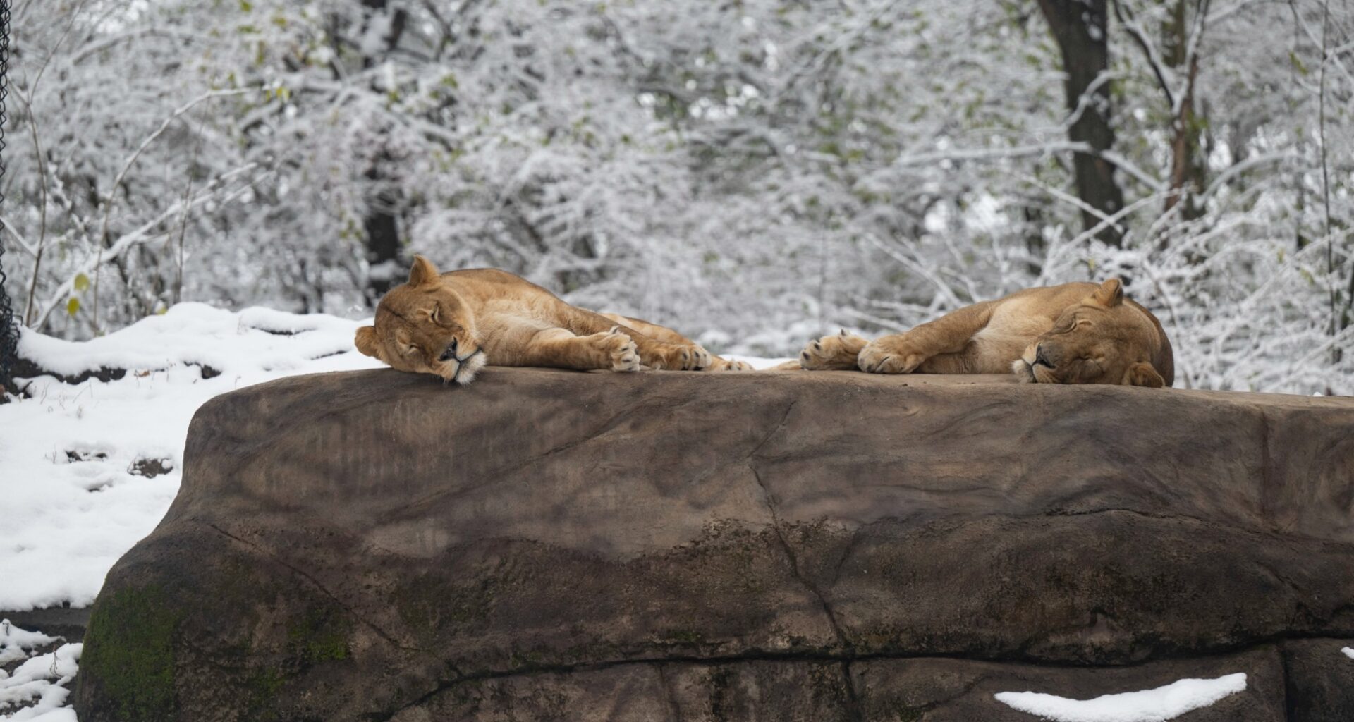 Free or cheap things to do for Valentine's Day in Pittsburgh