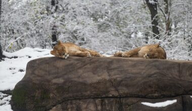 Free or cheap things to do for Valentine's Day in Pittsburgh