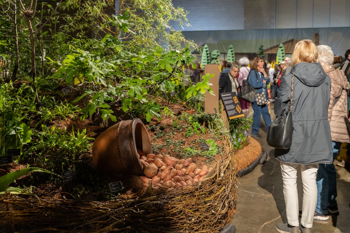 plants on display at Temple University