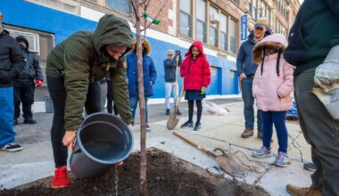 Urban forests improve the physical and mental health of city dwellers