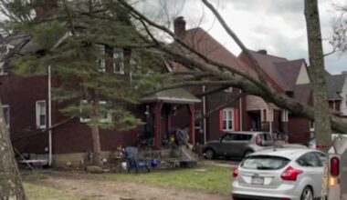 Large tree falls on house in Pittsburgh