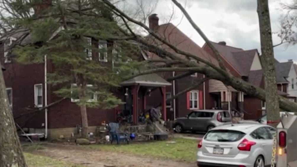 Large tree falls on house in Pittsburgh