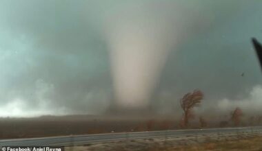 Kankakee County has declared a state of emergency after at least four twisters struck Tuesday evening (PICTURED)