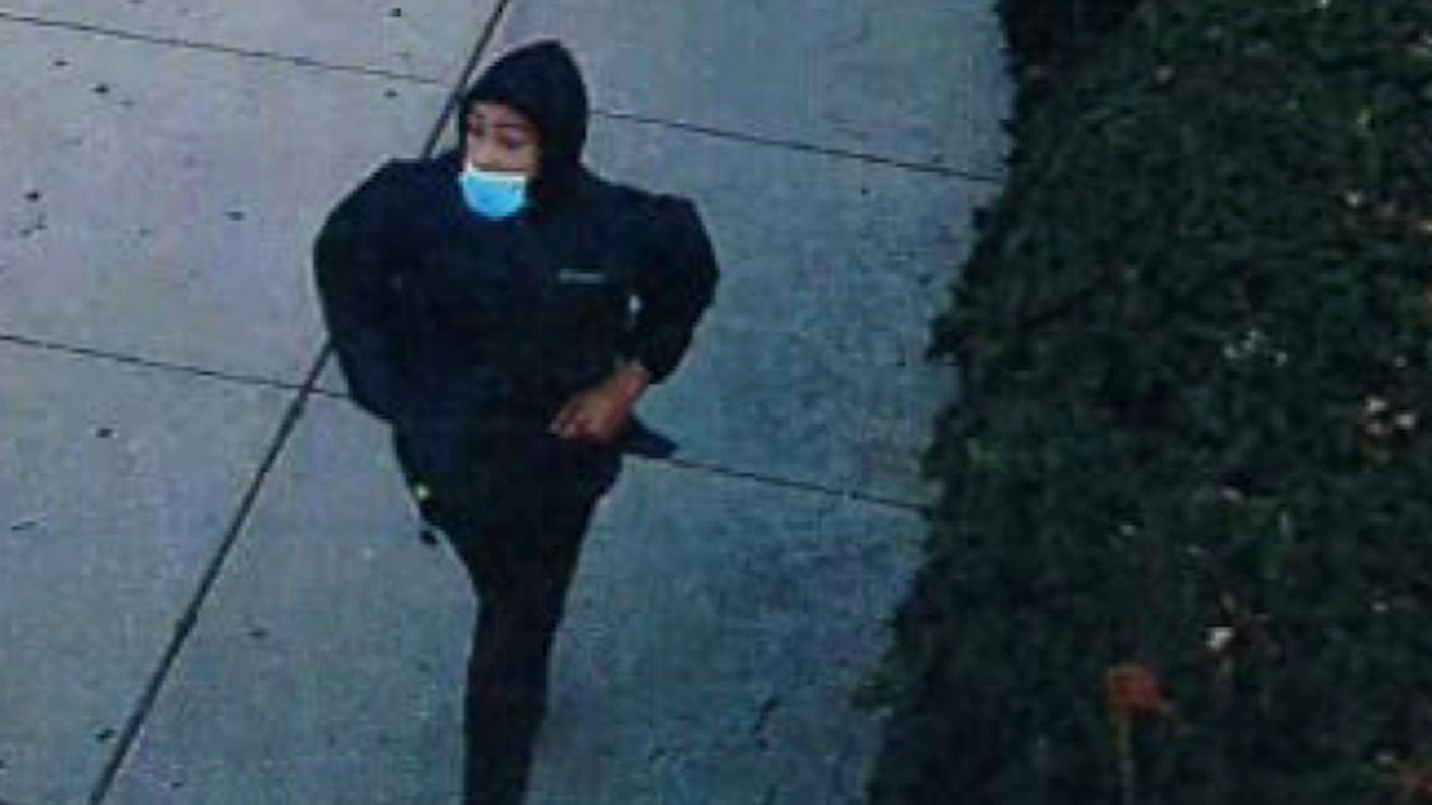 Lower Merion Township police: Armed suspect posed as solar worker during driveway carjacking