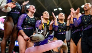 GYM: Up Next Washington heads to Penn State Feb. 28