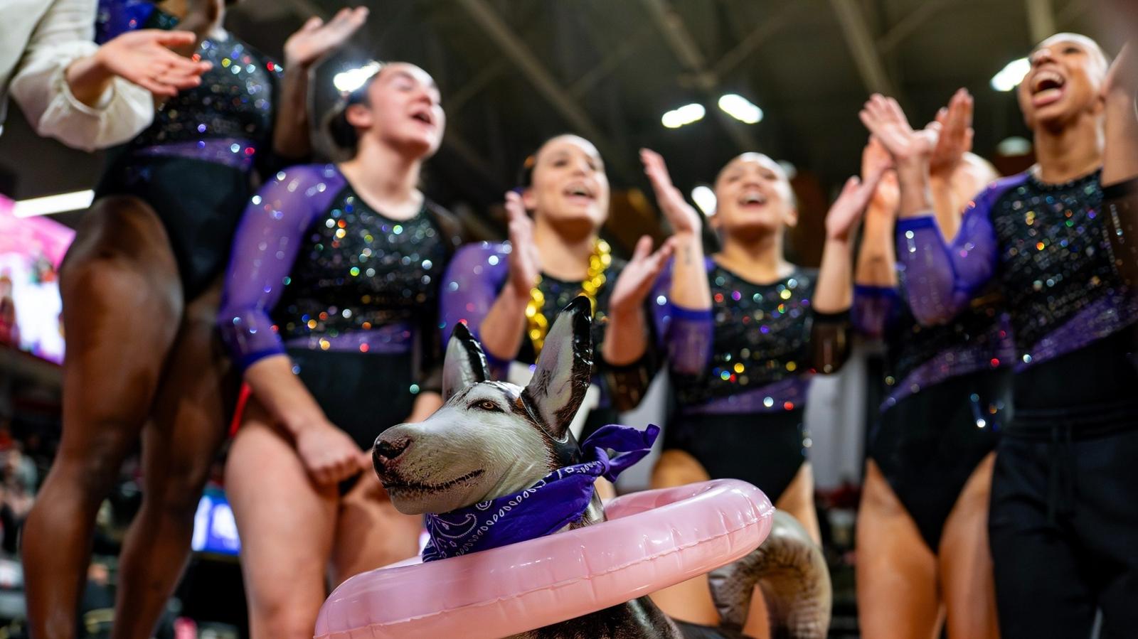 GYM: Up Next Washington heads to Penn State Feb. 28