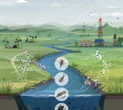 Where wells run deep, biodiversity runs thin