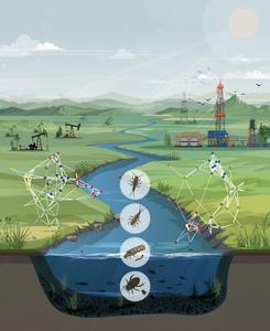 Where wells run deep, biodiversity runs thin