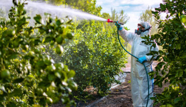 From the Editors: March 2026