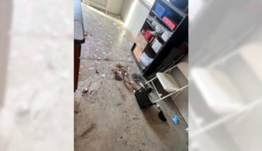 Mayfield youth baseball program field, concession stand vandalized