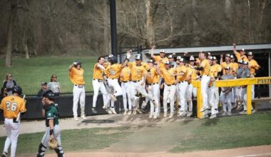 Panthers Split First Series of Conference Play