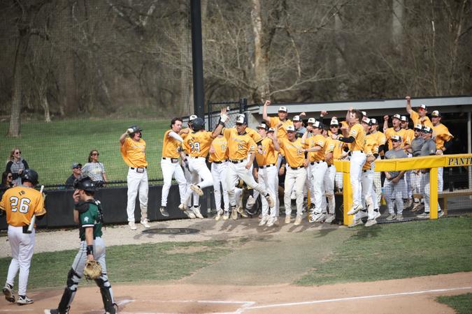 Panthers Split First Series of Conference Play