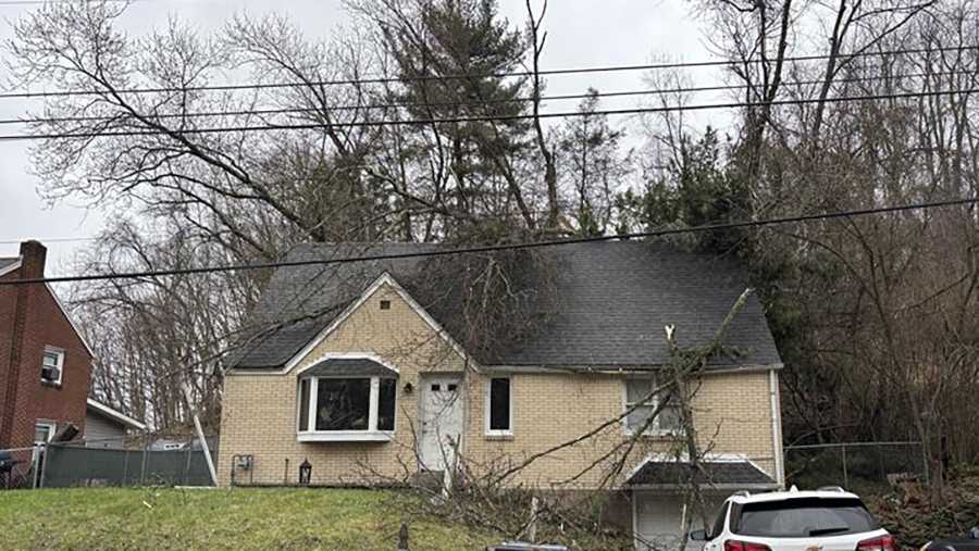 Tree falls on house in Penn Hills, Pennsylvania