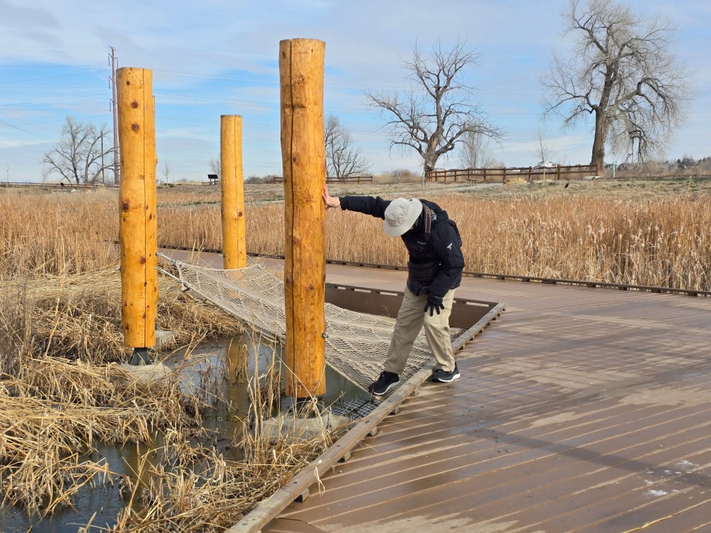 The Erie Wetlands — both fun and functional – Longmont Times-Call
