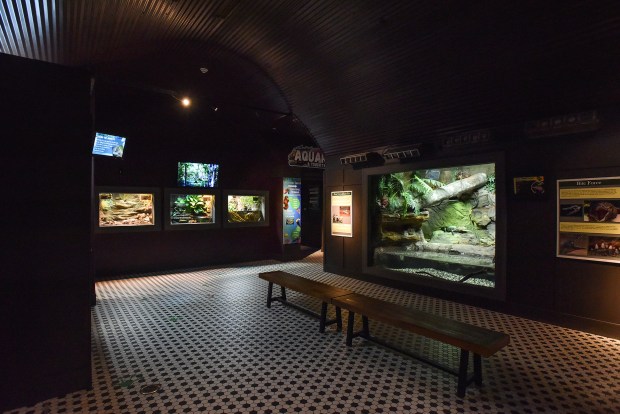 The Electric City Aquarium and Reptile Den in The Marketplace at Steamtown in Scranton Thursday, March 5, 2026. (SEAN MCKEAG / STAFF PHOTOGRAPHER)