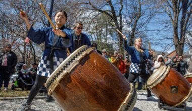 Bethlehem Cherry Blossom Festival 2026: Photos