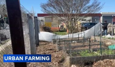 Community volunteers help launch spring season at Nice Roots Farm