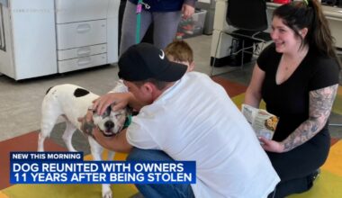 Dog reunited with family 11 years after being stolen from backyard in Philadelphia's Mayfair section