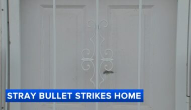 Shooting near Elkins Park, Pa. basketball courts sends stray bullet into home