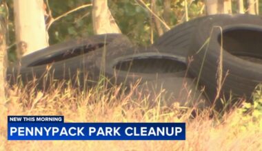 City of Philadelphia, private partners team up to remove illegal dumping from Pennypack Park