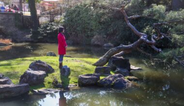 The Shofuso Heritage Campaign preserves a piece of Japanese culture in Philadelphia