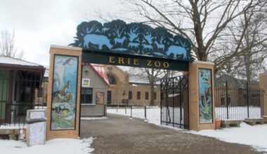 Yahoo lifestyle home