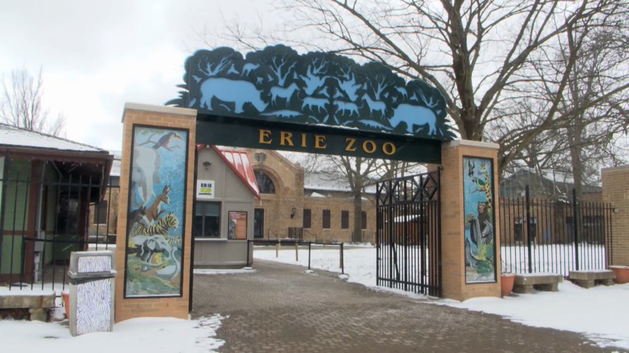 Yahoo lifestyle home