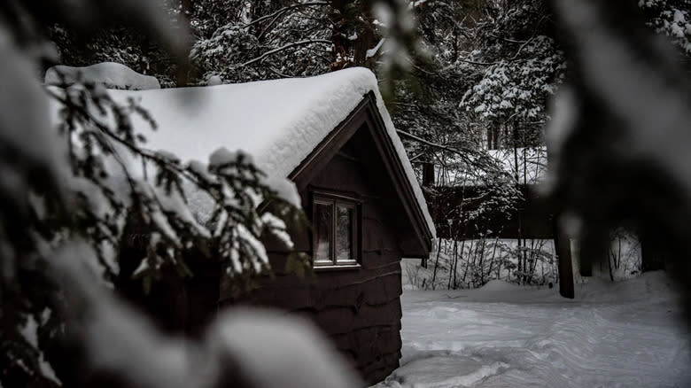 Cabin at Kooser State Park in Pennsylvania during winter