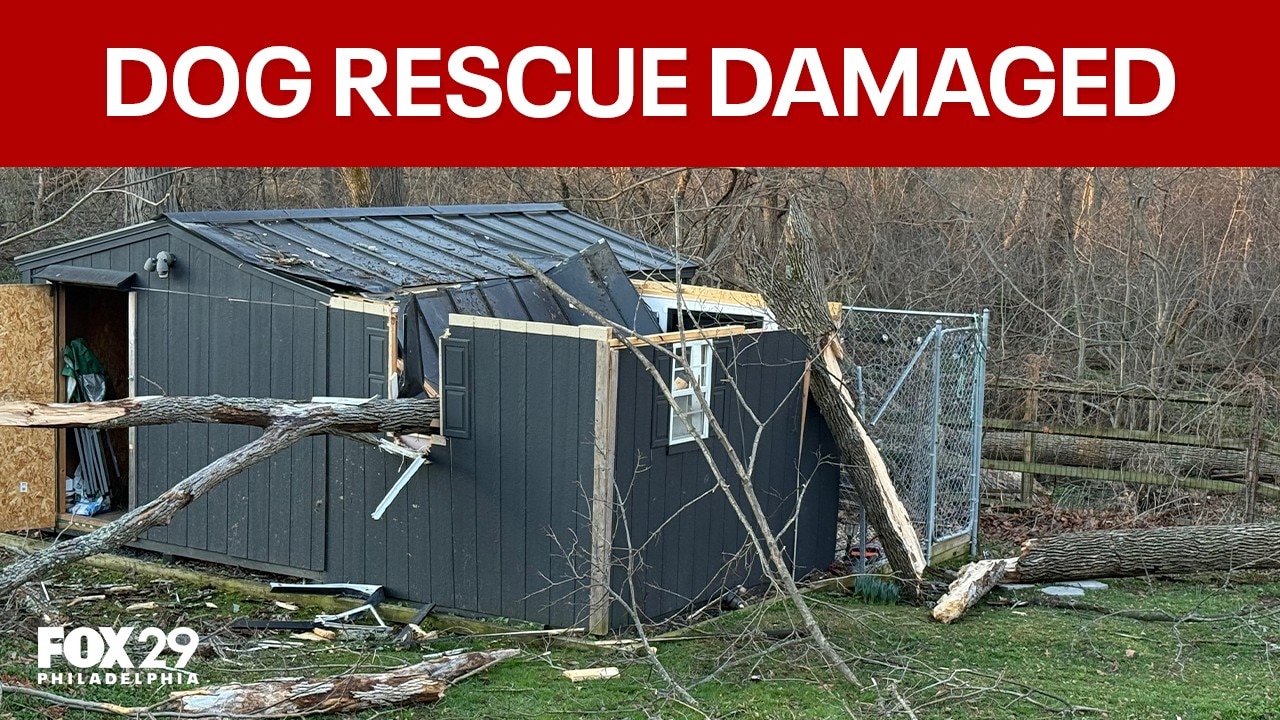 Storm damage forces Norristown dog rescue to halt emergency care