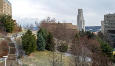 Omer Ali was named a Russell Sage Foundation visiting scholar