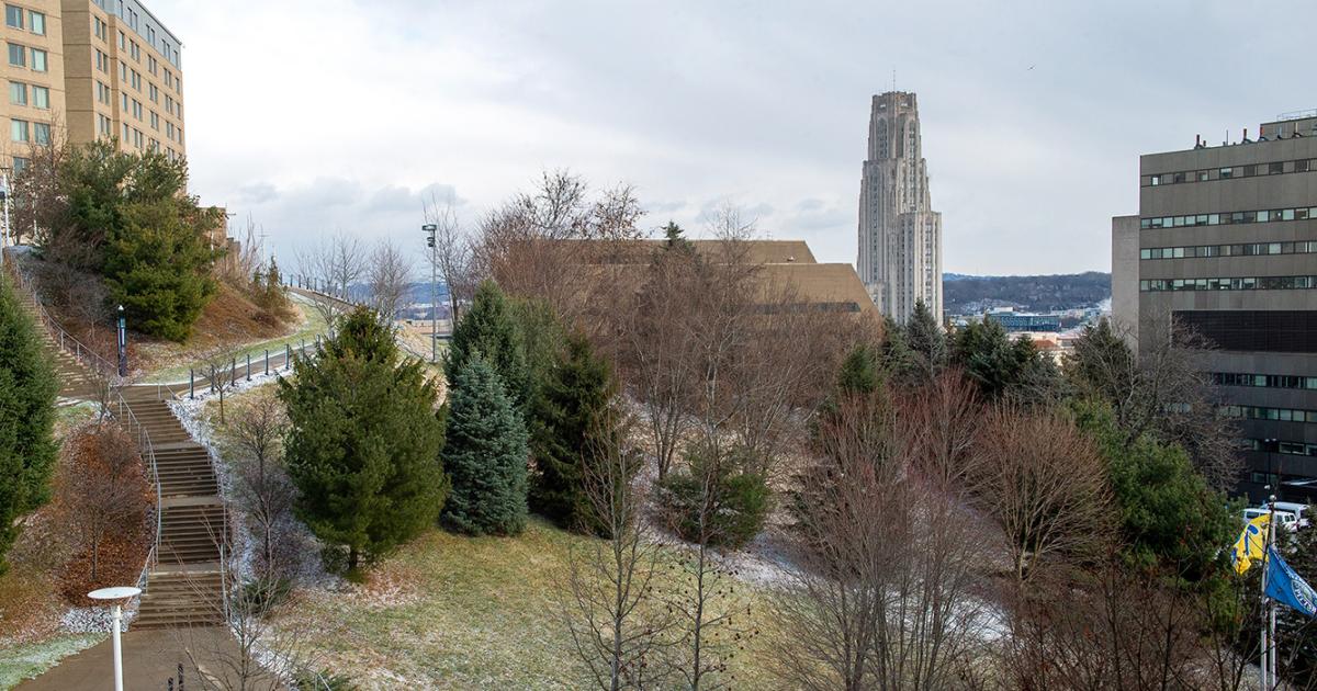 Omer Ali was named a Russell Sage Foundation visiting scholar