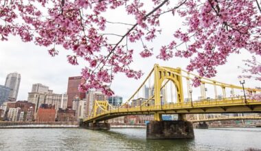 Pittsburgh’s Eastern redbud trees on pace to offer ‘a strong showing’ during NFL Draft