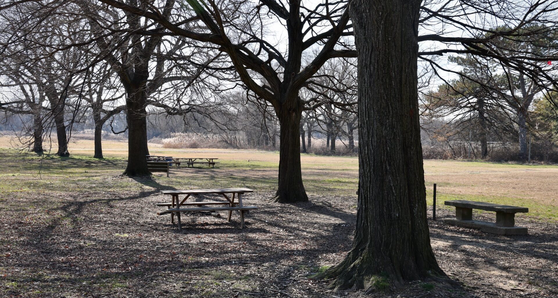 FDR Park lawsuit: Judge declines to halt renovations