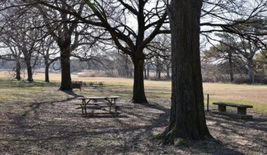 FDR Park lawsuit: Judge declines to halt renovations