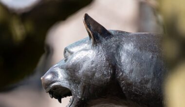 4 Pitt people were named Pittsburgh Business Times 2026 Women of Influence