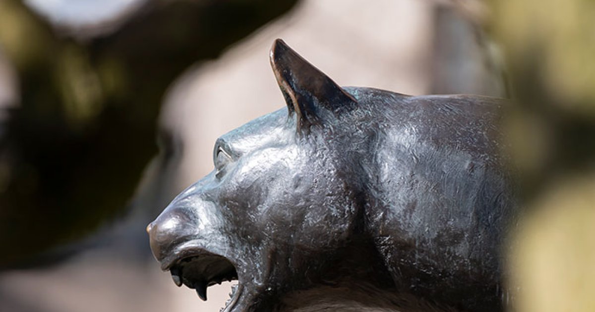 4 Pitt people were named Pittsburgh Business Times 2026 Women of Influence