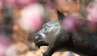 Student startup Pittsburgh Coastal Energy won a top prize at South by Southwest