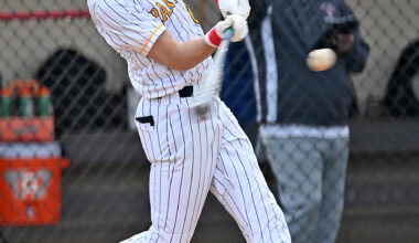 PJP's Desanto strikes out 13 in perfect game at Lower Moreland